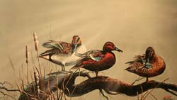 Phillip Crowe bird art